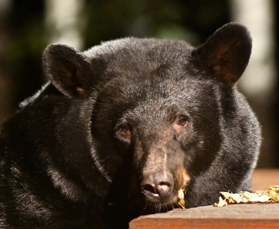 Mary Lee on 10-13-20