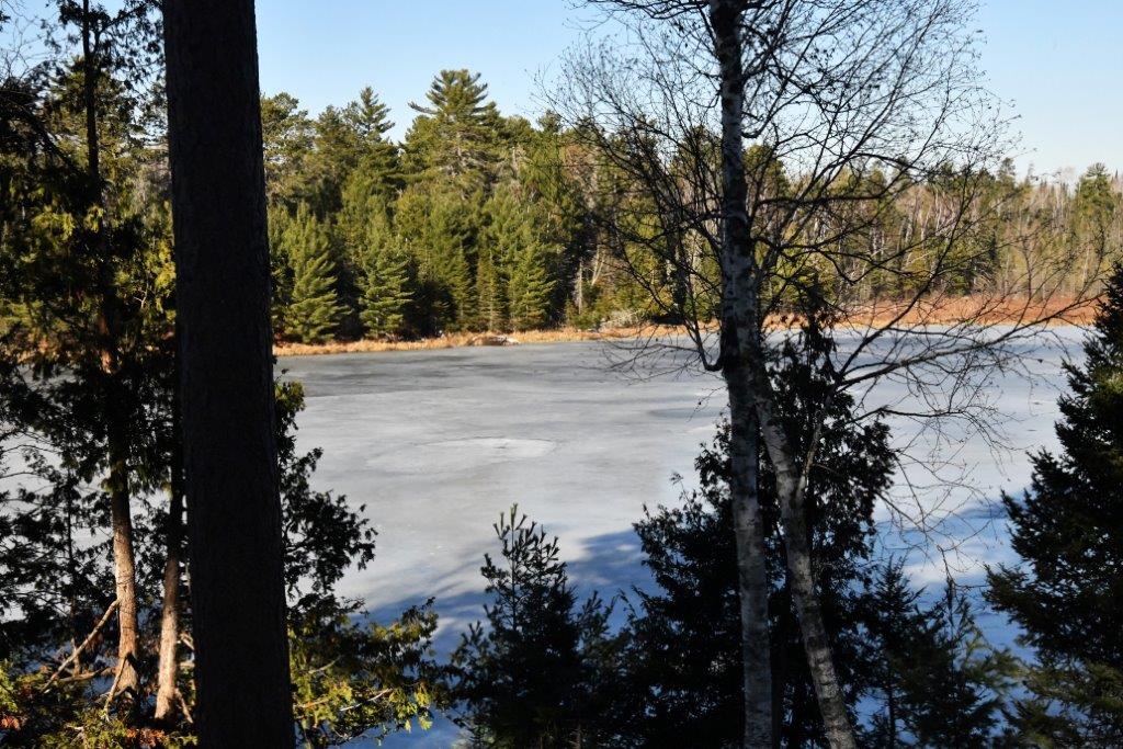 Woods lake ice without snow