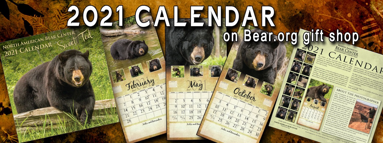 2021 Calendar