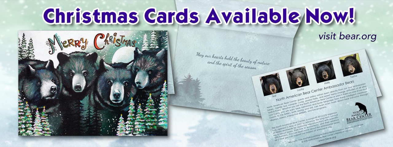 Christmas cards