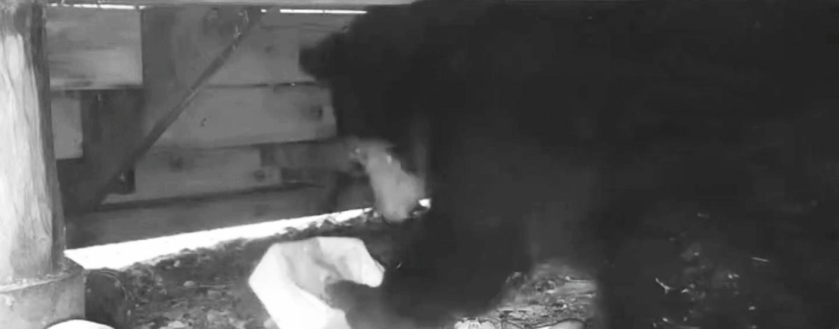 Spanky inspecting the container