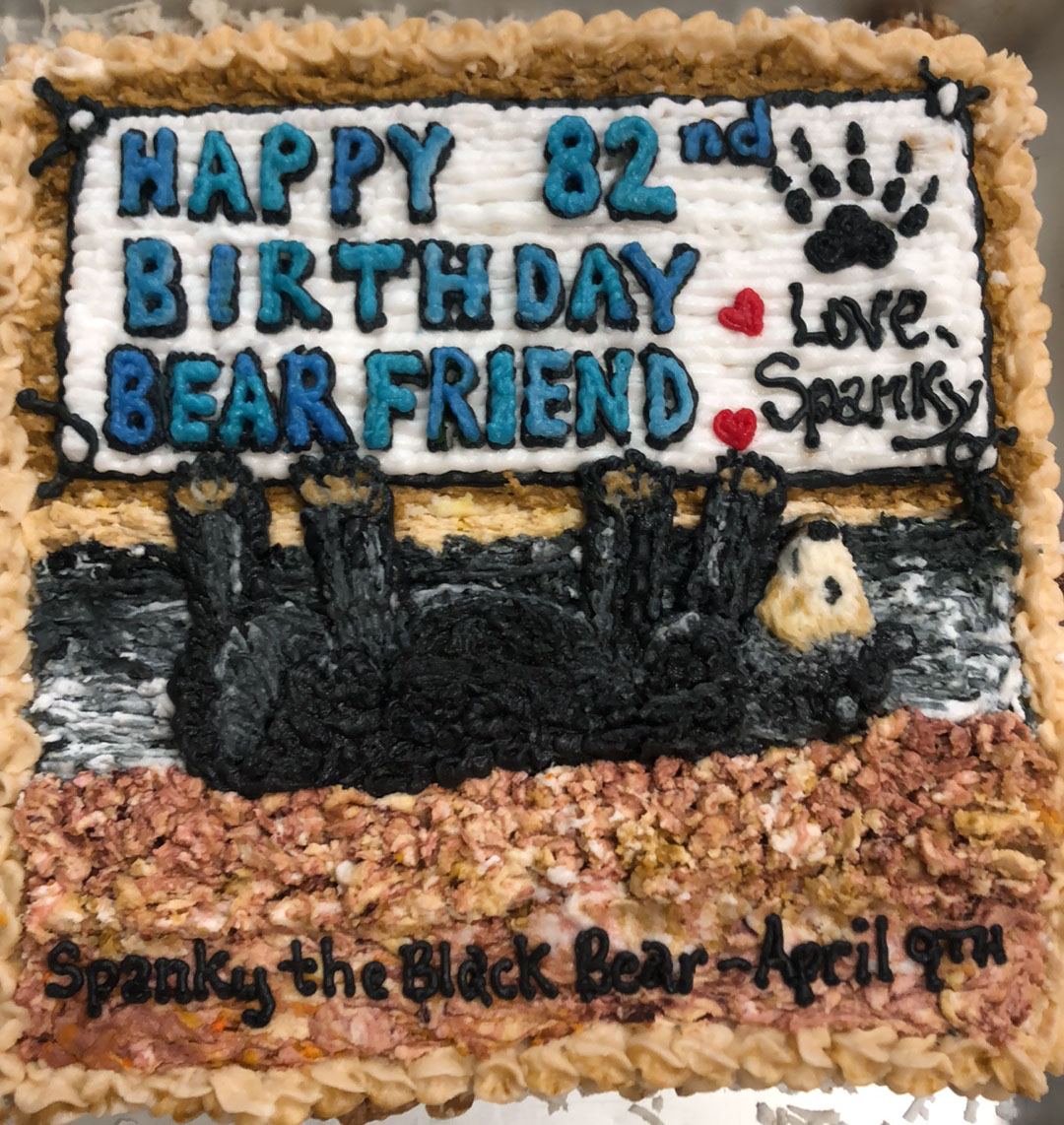 Lynn's birthday cake