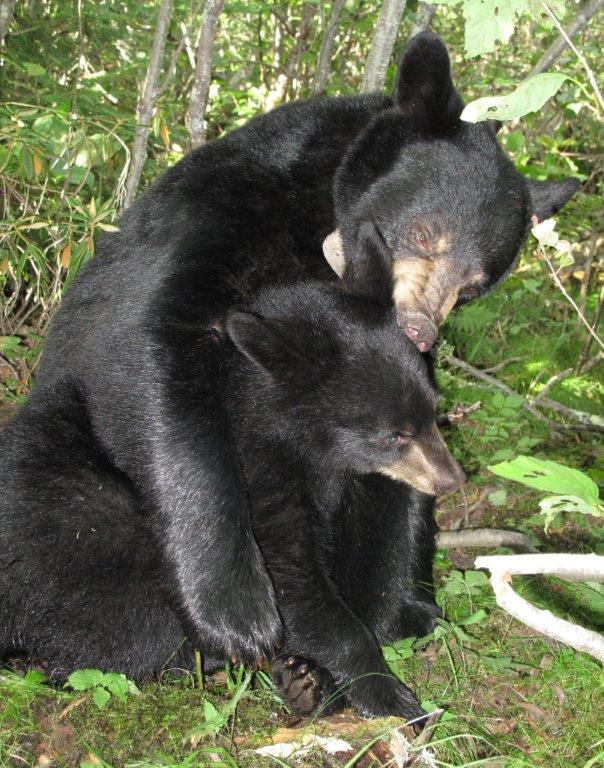 Lily & Hope on 8-16-10