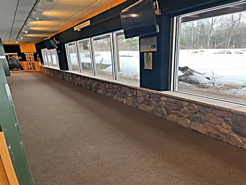Bear viewing window