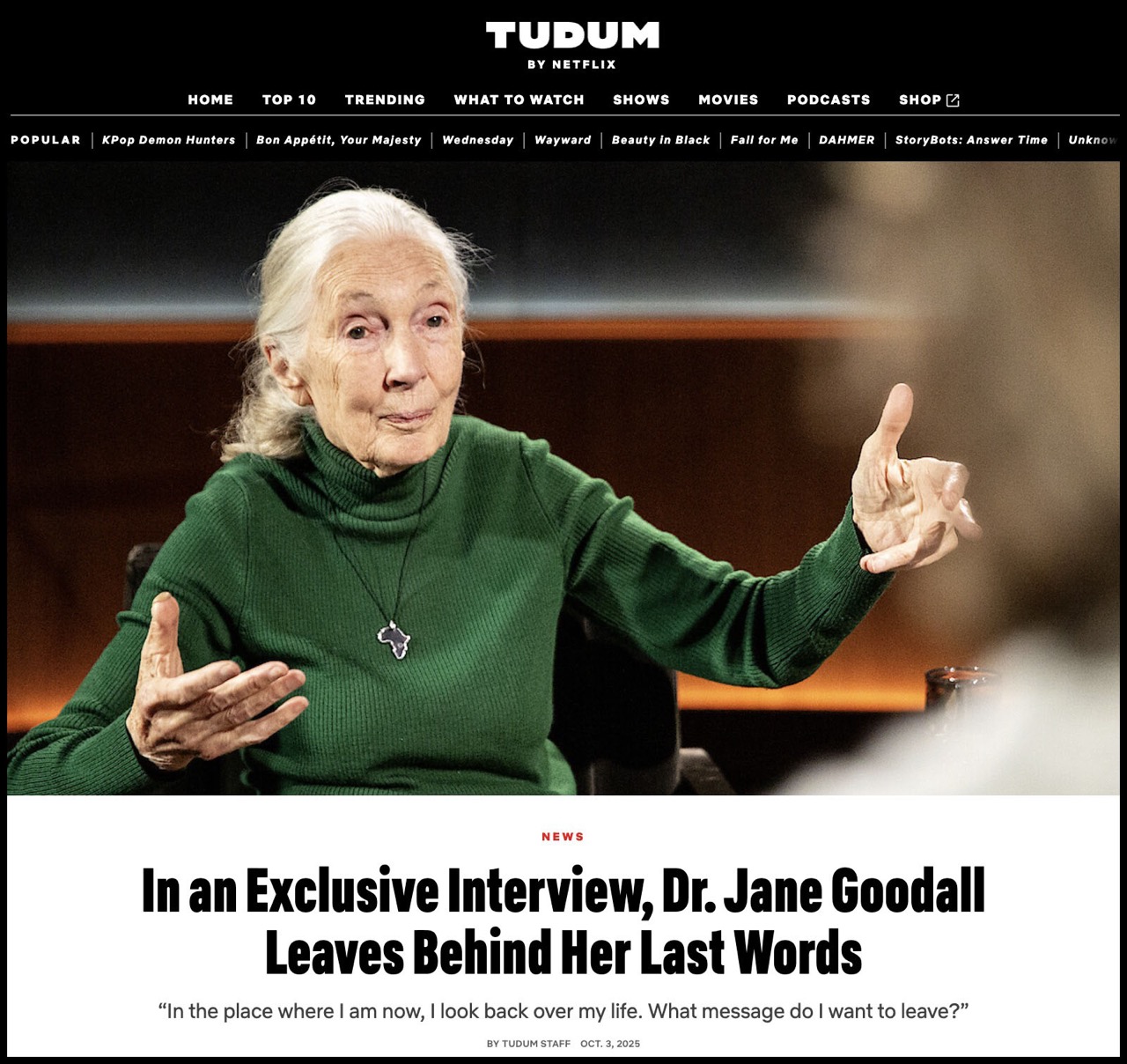 Tudum article