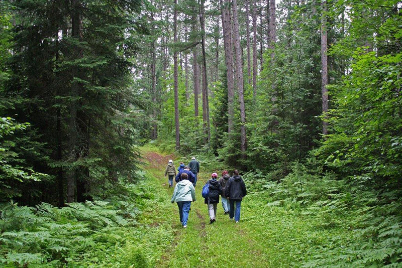 Hiking on a bear course