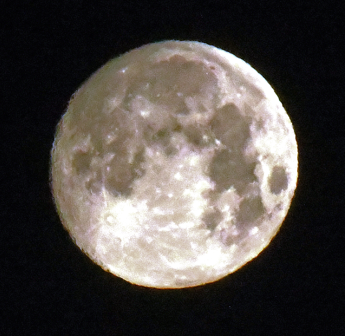 Bear Moon