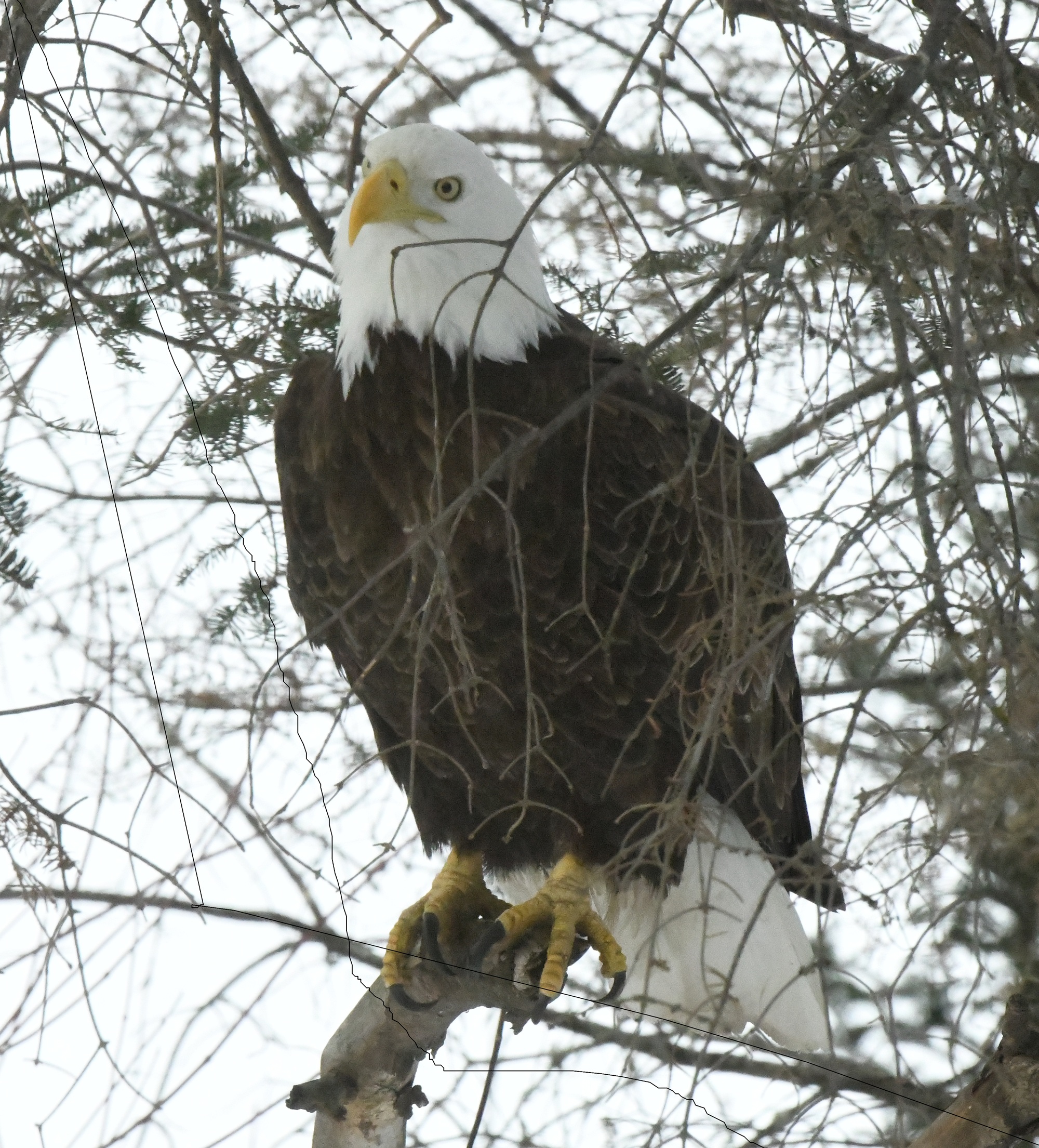 Back in the Saddle Again! - UPDATE March 19, 2026