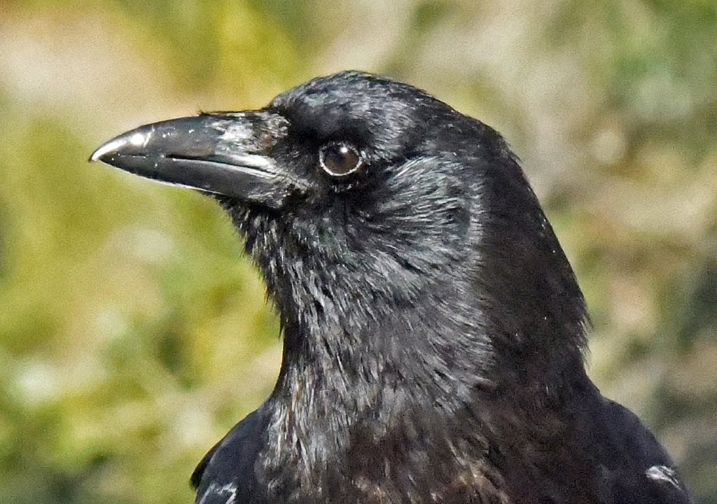 Spring Has Sprung - UPDATE March 22, 2026