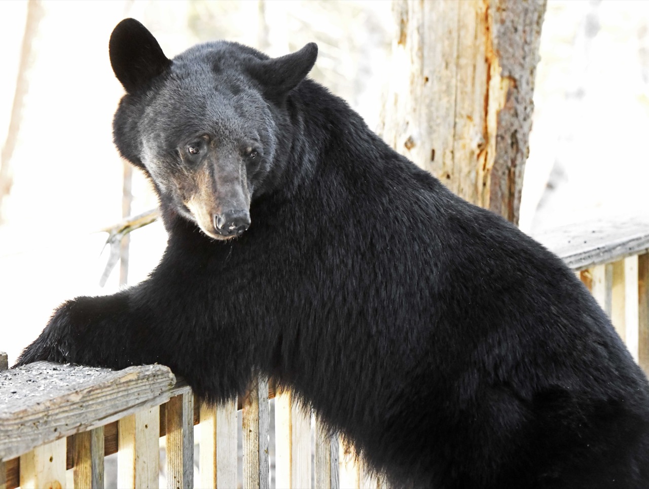 My First Sighting of 2026 - UPDATE April 11, 2026