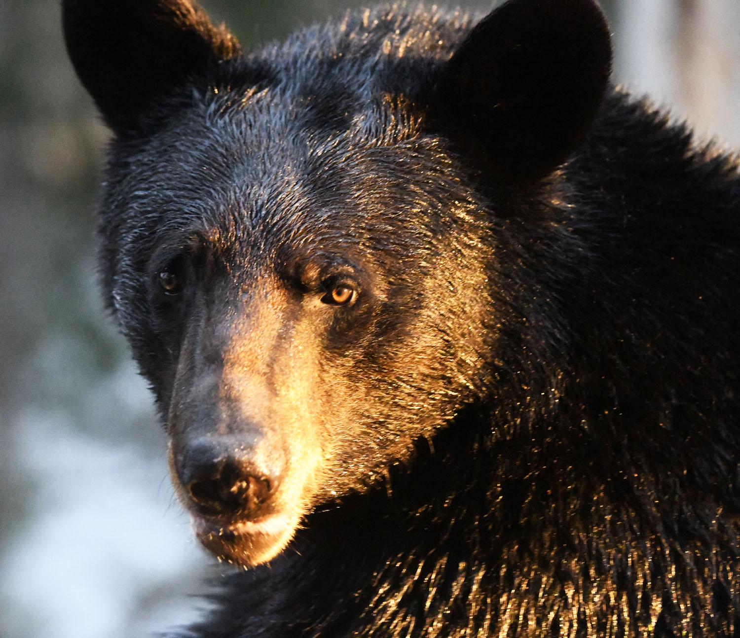 Spring Has Sprung - UPDATE April 27, 2026