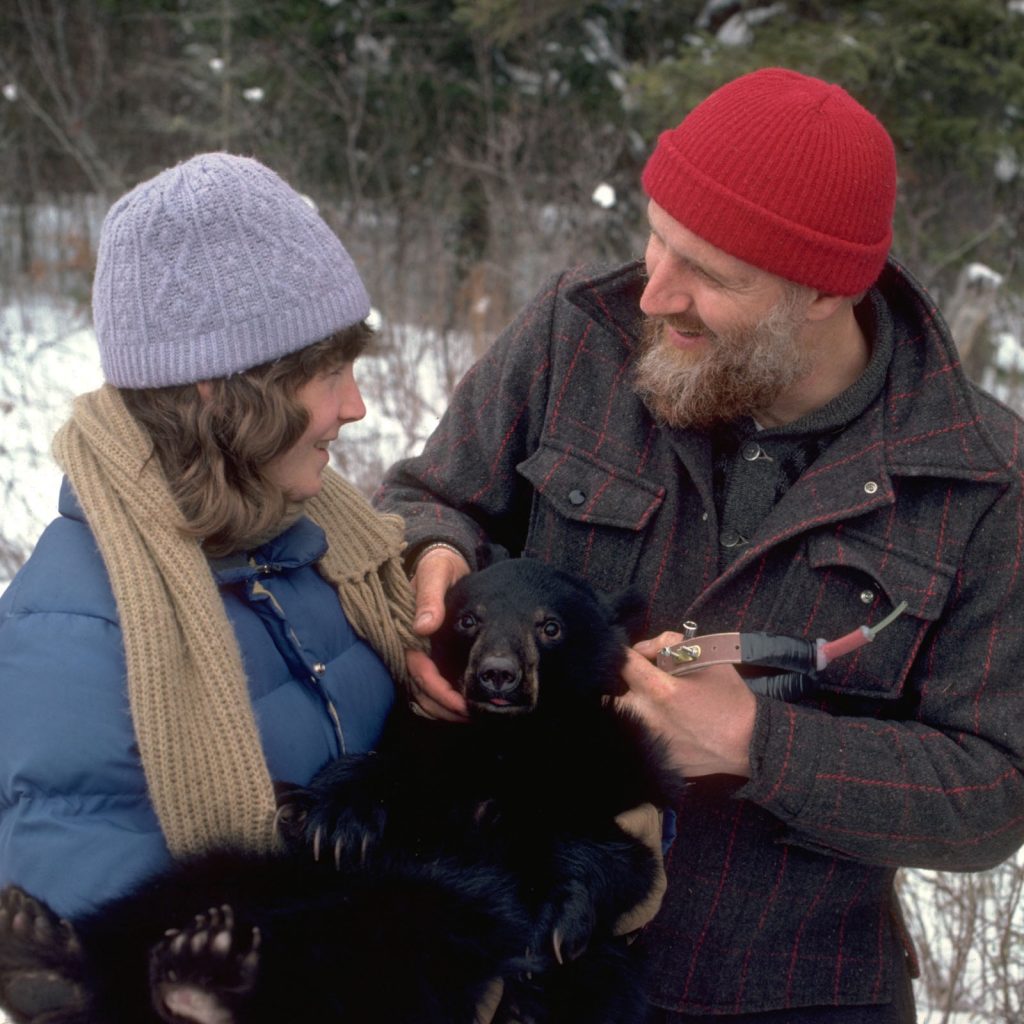 Lynn and Donna collaring bear