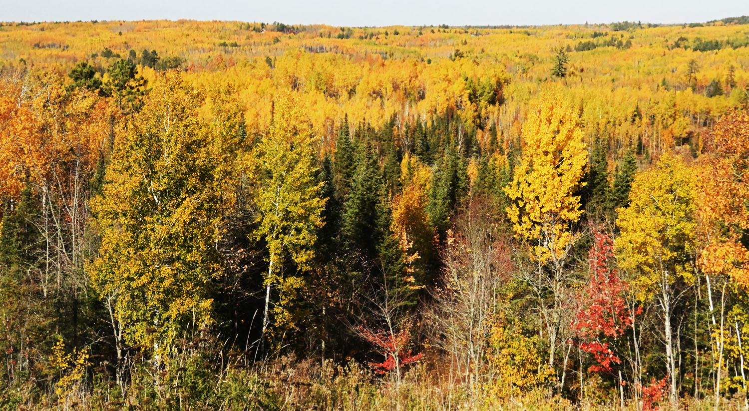 A Wonderful Time of Year - UPDATE October 12, 2026