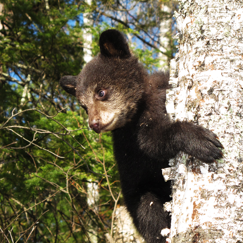 Hope - April 21, 2010