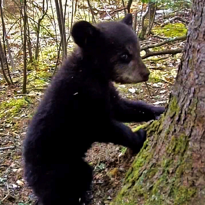 Hope - April 24, 2010