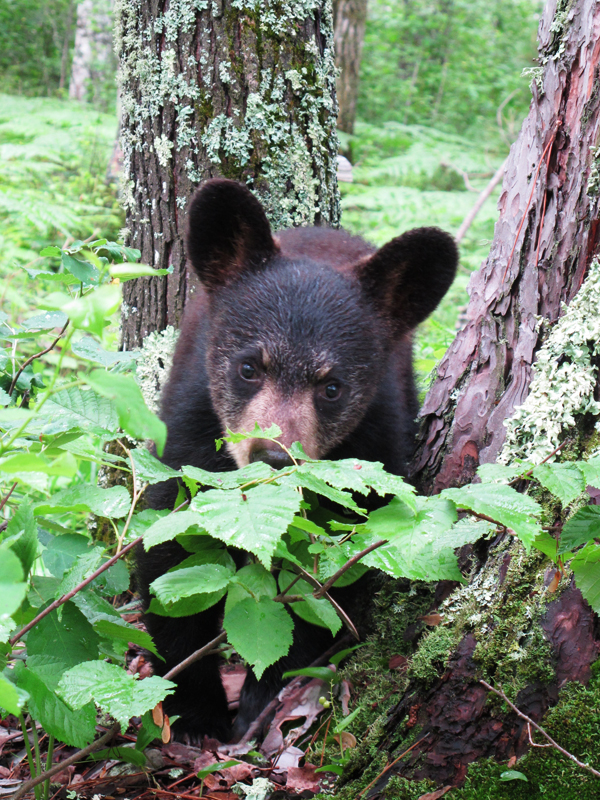 Hope - June 26, 2010