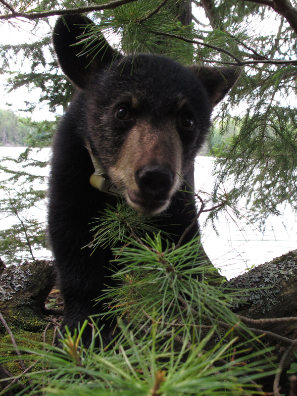 Hope up close - July 3, 2010