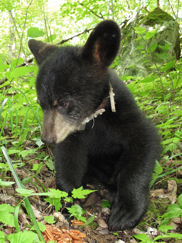 Hope looking innocent