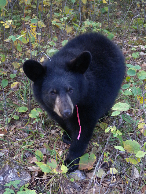 Hope - September 19, 2010