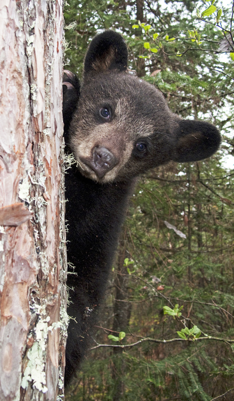 Hope - April 29, 2010