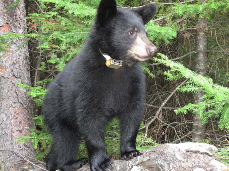 Hope - August 18, 2010