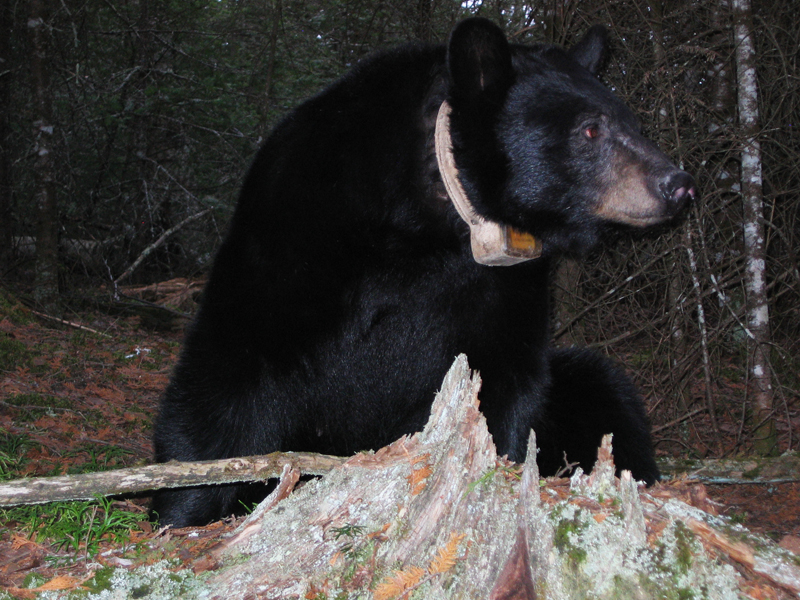 June - April 1, 2010