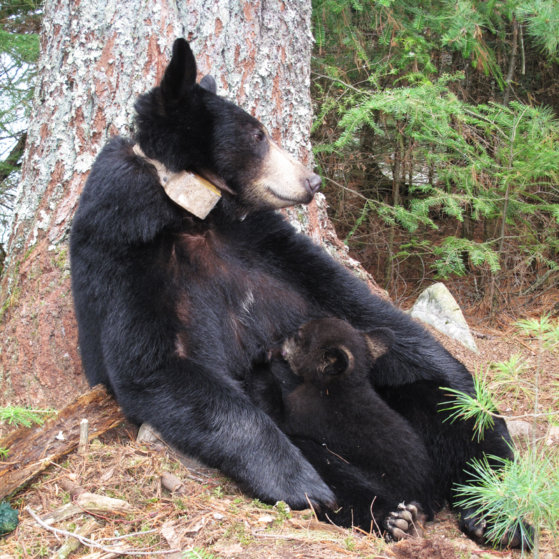 Lily & Hope = May 3, 2010