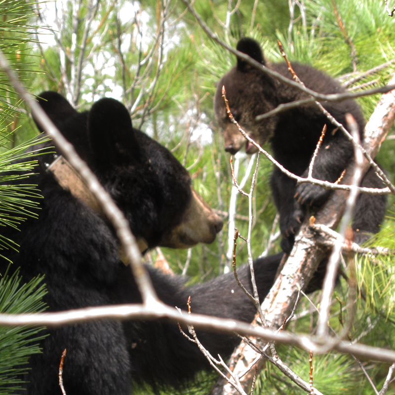 Lily & Hope - May 12, 2010