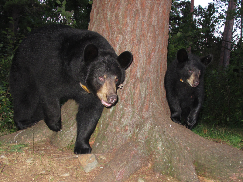 Lily & Hope - August 25, 2010