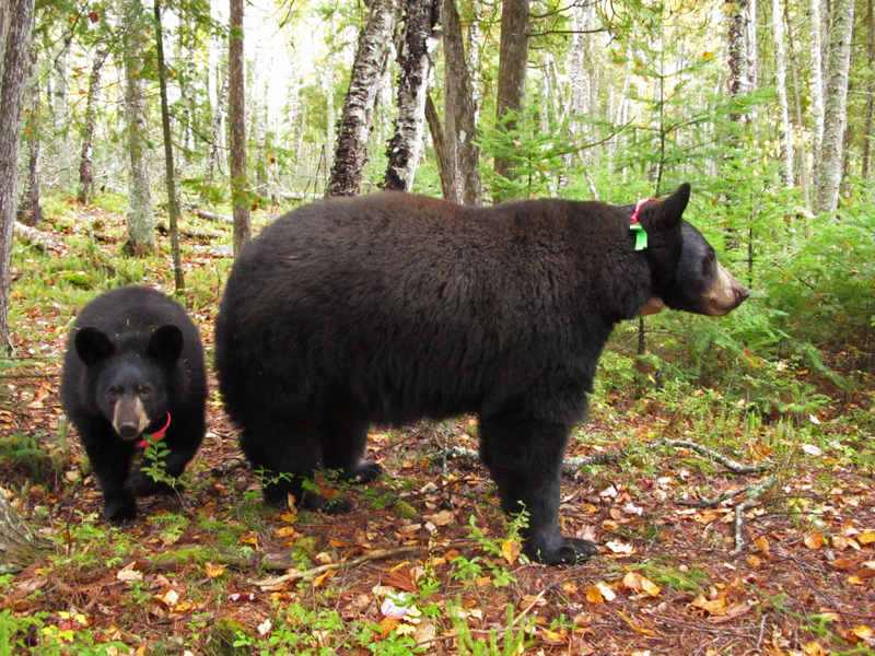 Lily & Hope - Sept 23, 2010