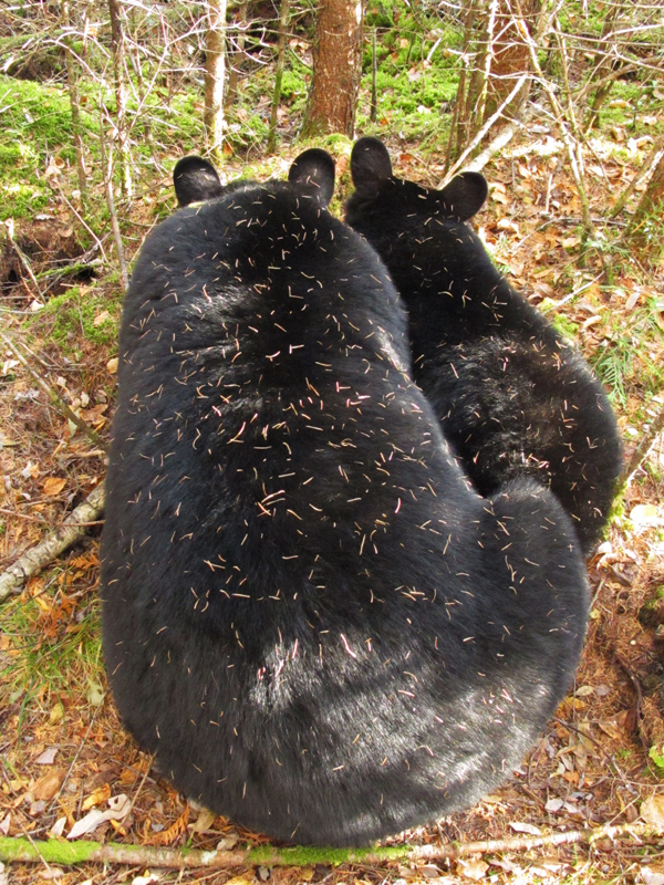 Lily_and_Hope_-_20101012