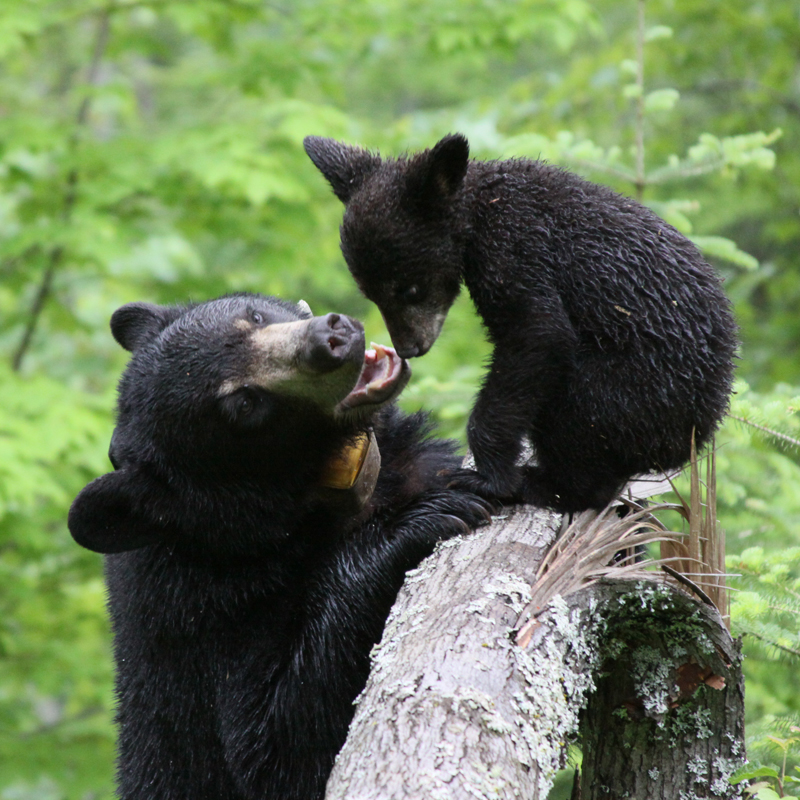 Lily and Hope - May 30, 2010