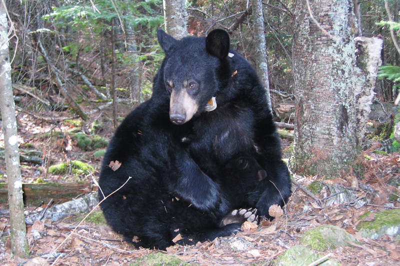 Lily and Hope - March 31, 2010