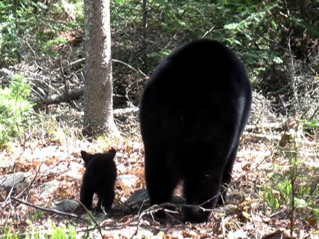 Lily & Hope - April 20, 2010