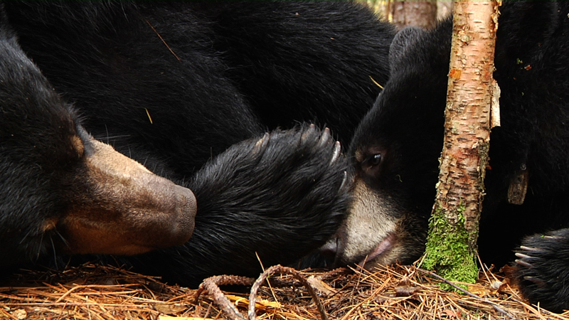 Lily_and_Hope_20100927