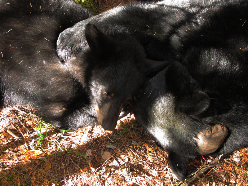 Lily_and_Hope_20101013_adj_small