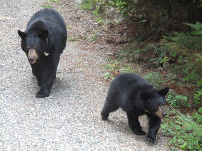 Lily & Hope - August 18, 2010