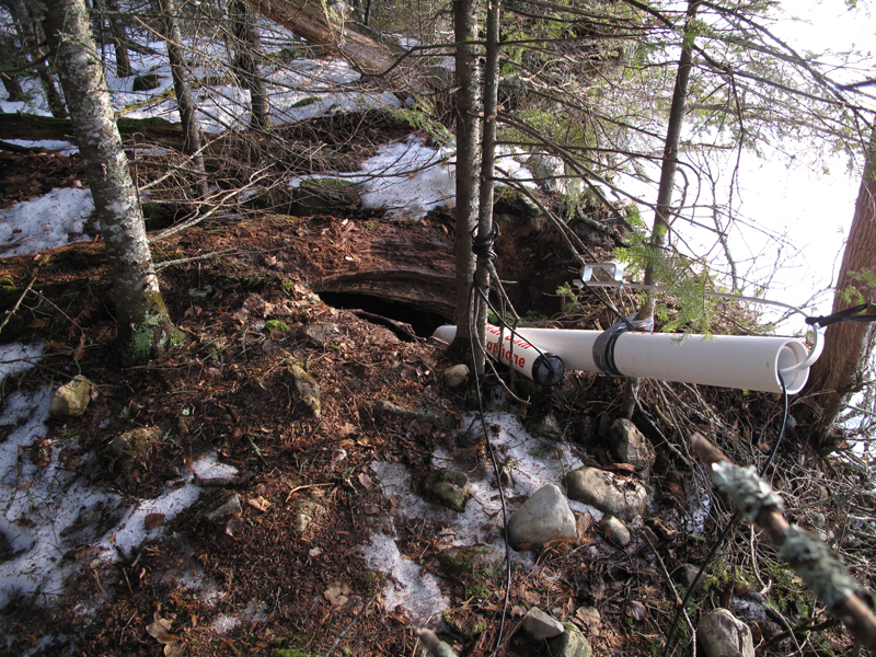 Lily's den - March 9, 2010