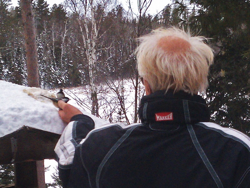 Lynn_Rogers_feeding_birds_-_20101122