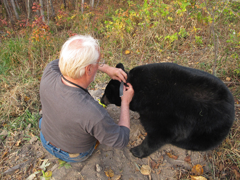 Lynn_and_Jo_-_20101011