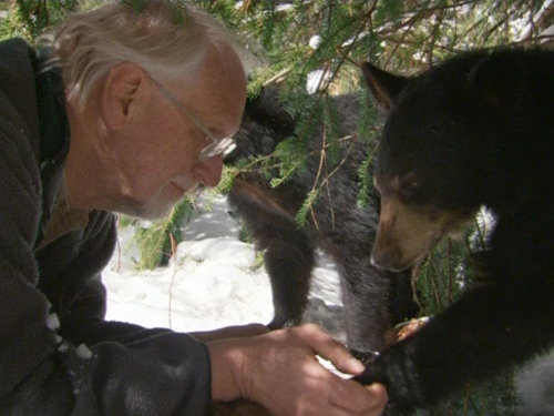 Lynn Rogers and Lily 