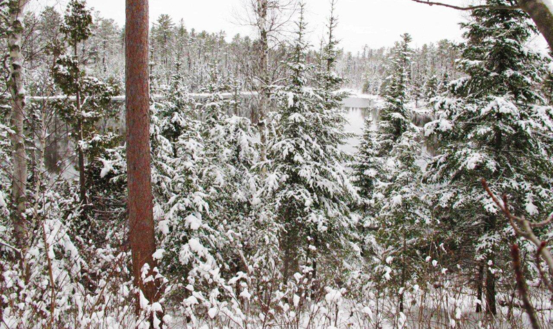 Woods_Lake_11-15-10_2_800