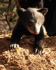 Hope - March 29, 2010