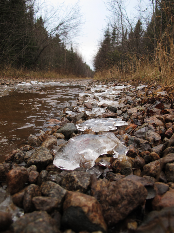 ice_-_20101102