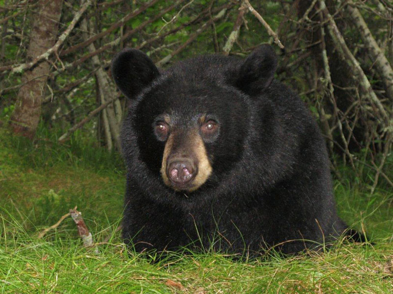 Faith's male friend - Aug 27, 2012