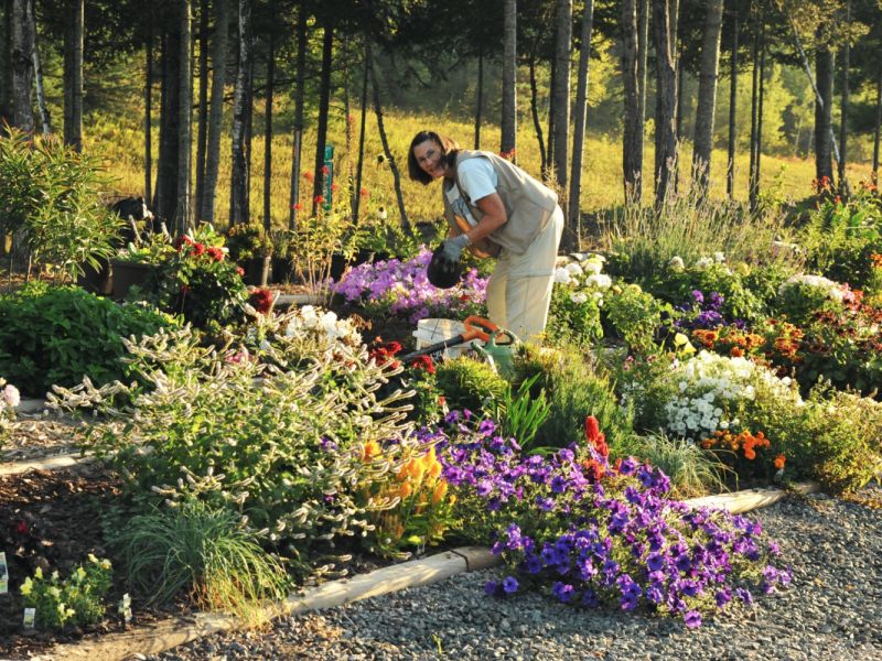 Donna, a Special Birthday Card and the Birth of the Bear Center - UPDATE April 8, 2023