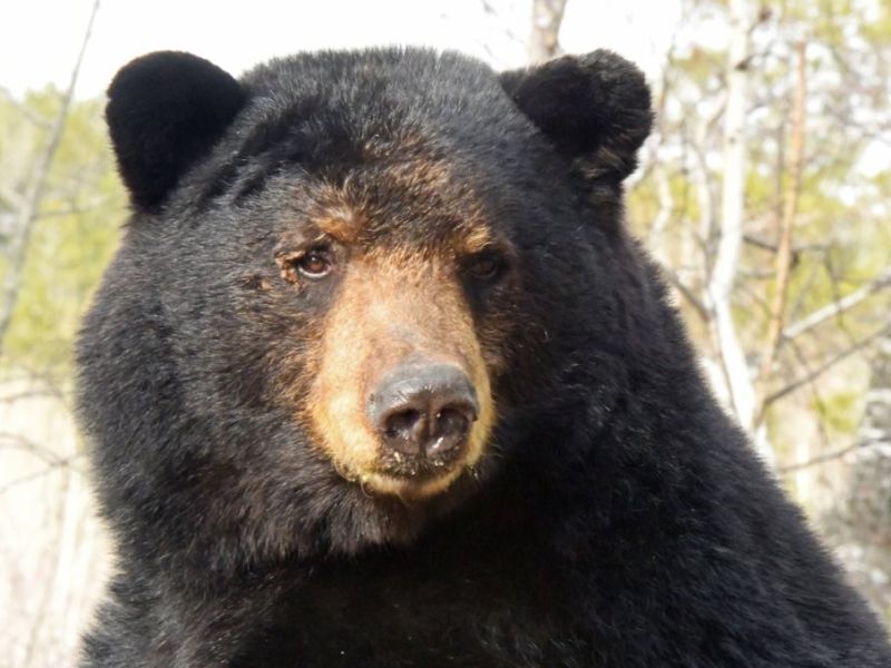 And the First Sighting iiisss.....SPANKY!!! - UPDATE March 26, 2026