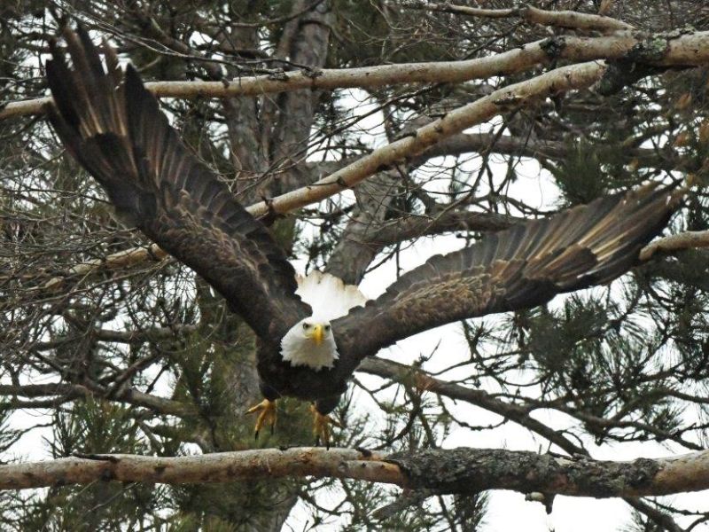 I was Wrong! - UPDATE March 18, 2024