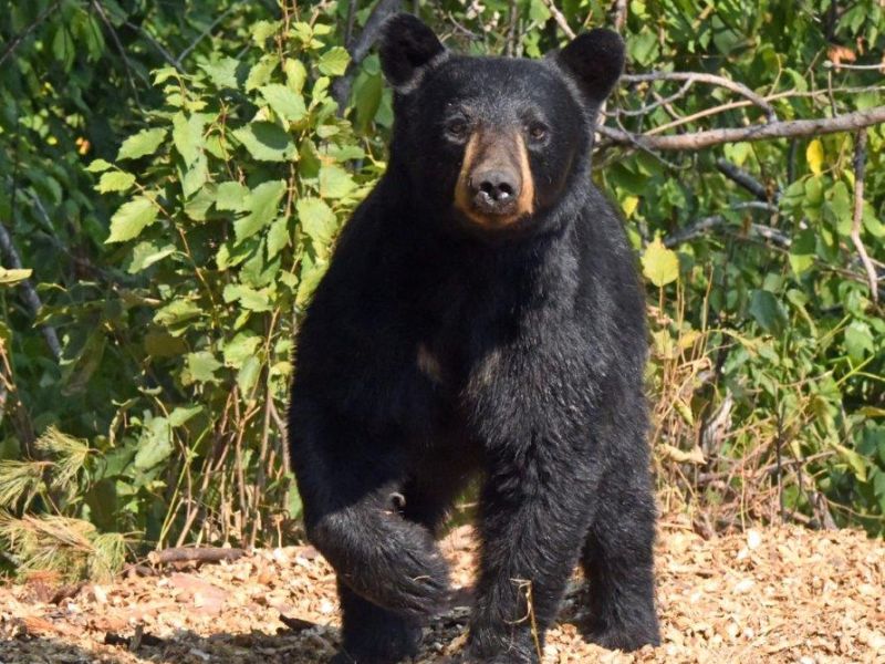 Moments of Tension - UPDATE August 2, 2021