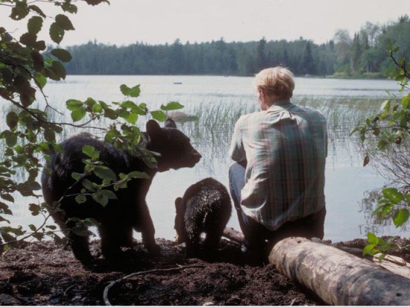 Bearwalker: The Lynn Rogers Story - UPDATE June 26, 2024